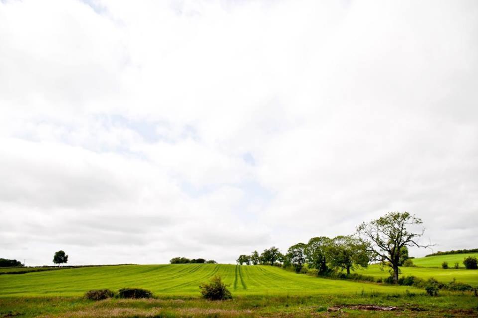 Bamflatt Farm Bed & Breakfast Strathaven Zimmer foto